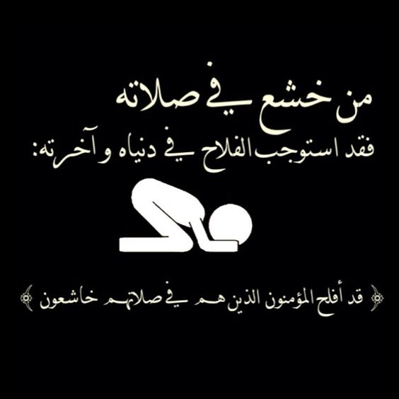 الدين النصيحة - صفحة 108 %D8%A8%D9%88%D8%B3%D8%AA%D8%A7%D8%AA-%D8%AF%D9%8A%D9%86%D9%8A%D8%A9-7