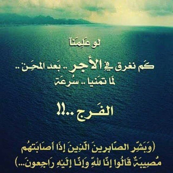 الدين النصيحة - صفحة 108 %D8%A8%D9%88%D8%B3%D8%AA%D8%A7%D8%AA-%D8%AF%D9%8A%D9%86%D9%8A%D8%A9-8